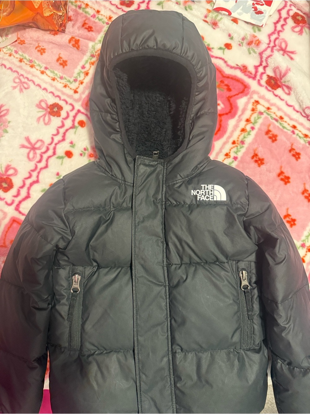 The North Face Black Hooded Puffer Coat